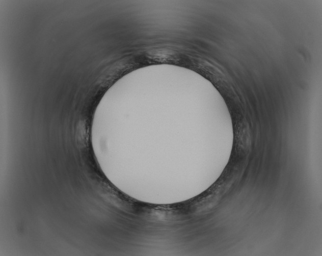 X0000111240420200907301310