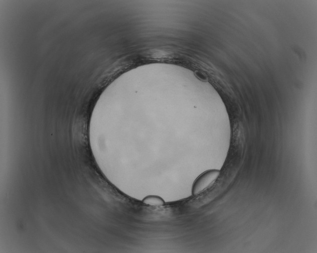 X0000111240421200907301310