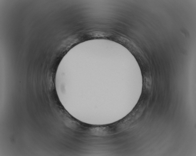 X0000111240422200907301310