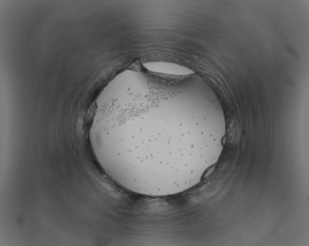 X0000111240424200907301310