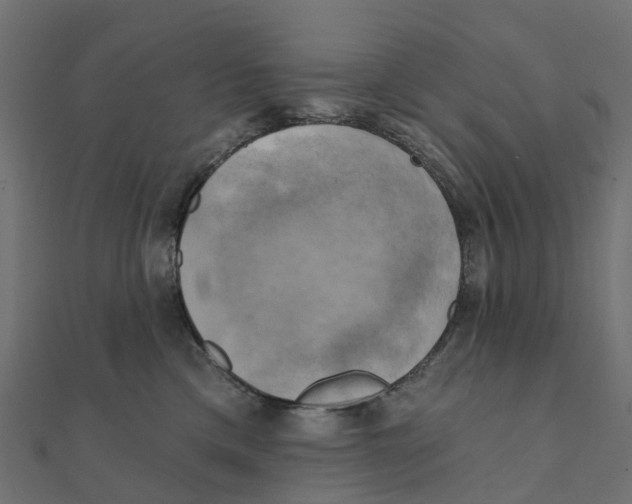 X0000111240425200907301310