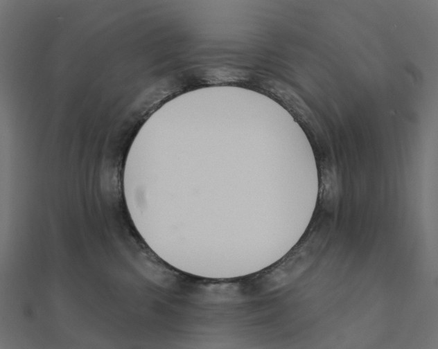 X0000111240426200907301310