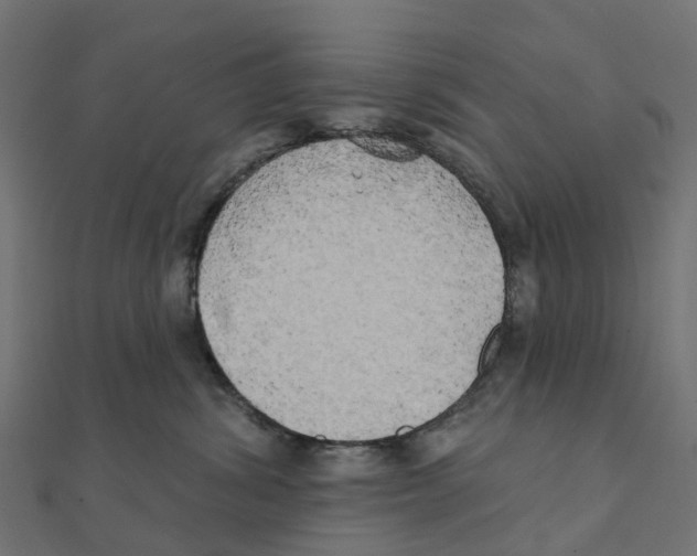 X0000111240428200907301310