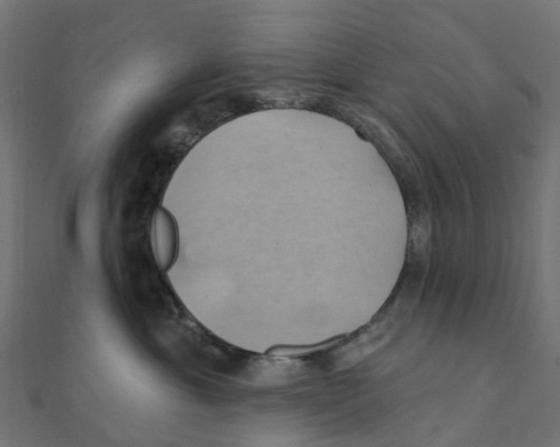 X0000111240429200907301310