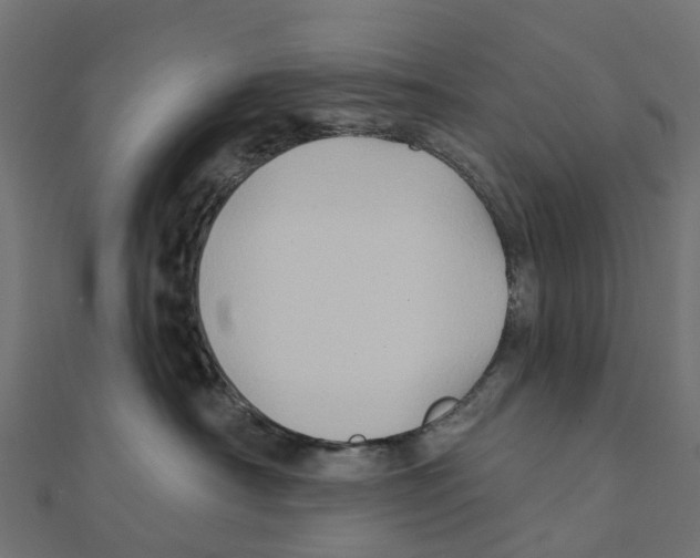 X0000111240430200907301310