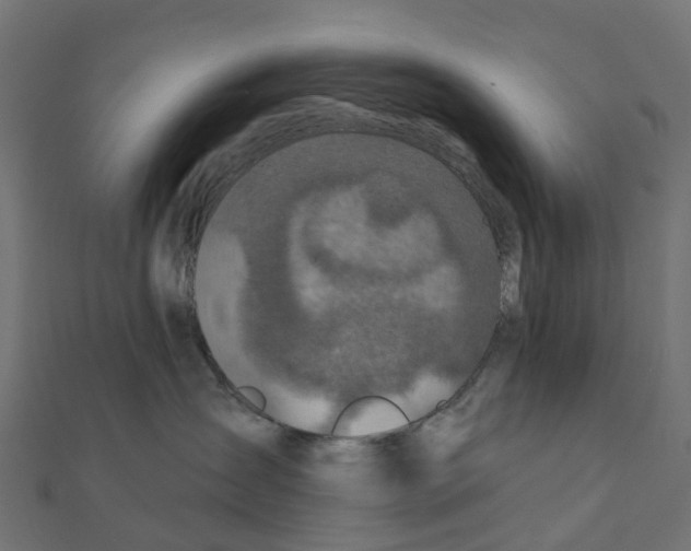 X0000111240431200907301310