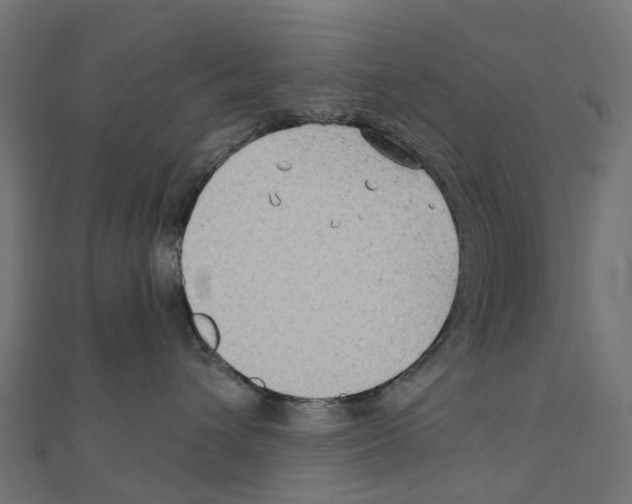 X0000111240432200907301310