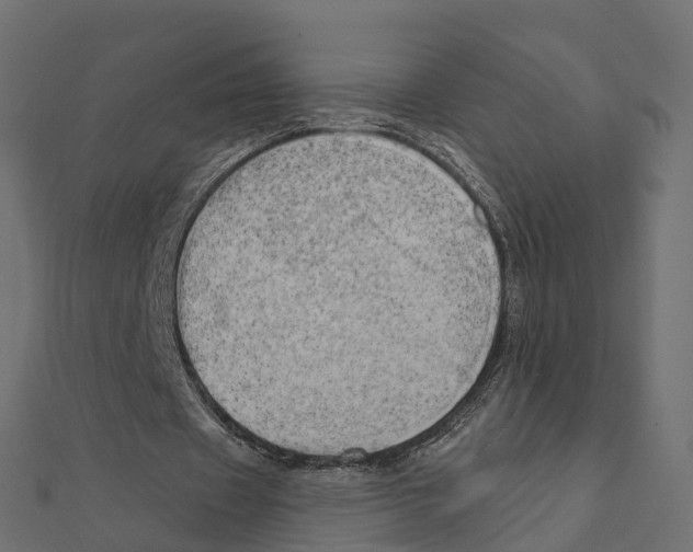 X0000111240433200907301309