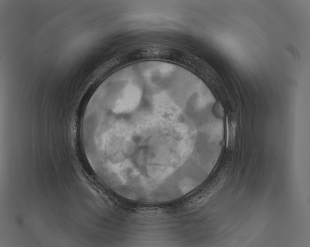 X0000111240435200907301309