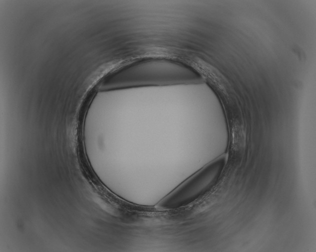 X0000111240436200907301309