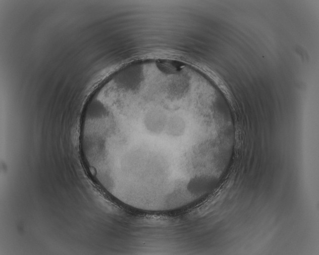 X0000111240437200907301309