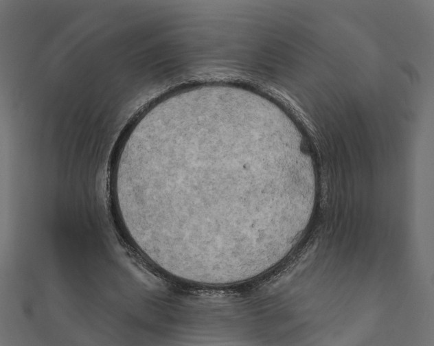 X0000111240439200907301310