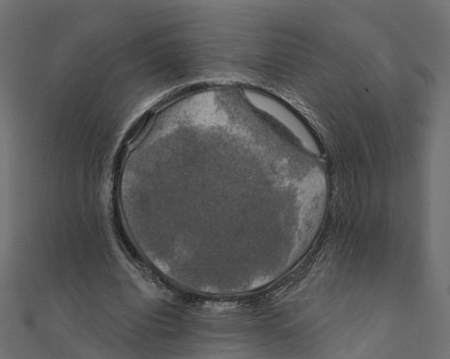 X0000111240440200907301310