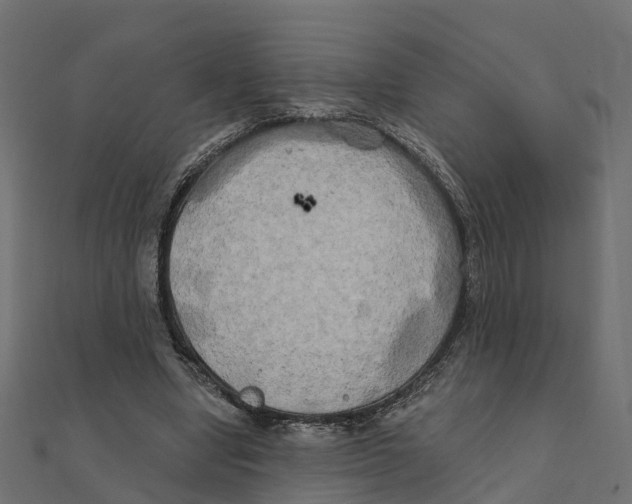 X0000111240442200907301310