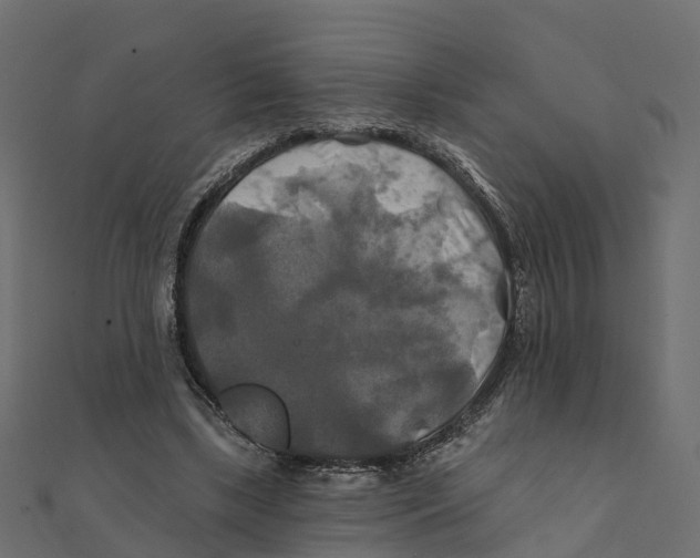 X0000111240443200907301310