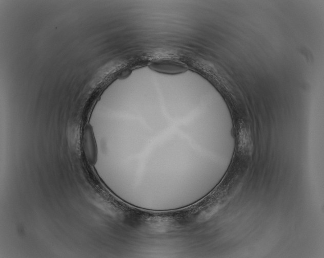 X0000111240444200907301310