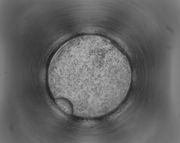 X0000111240445200907301310