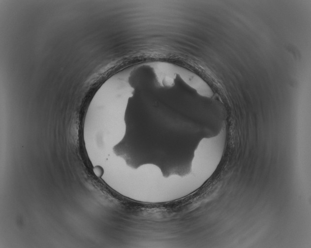 X0000111240446200907301310