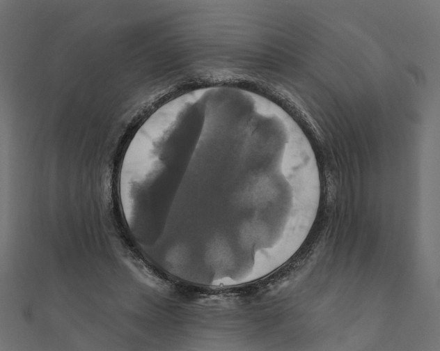 X0000111240447200907301310