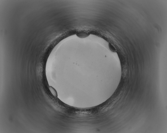 X0000111240448200907301310