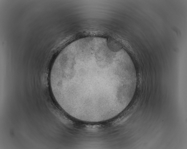 X0000111240450200907301310