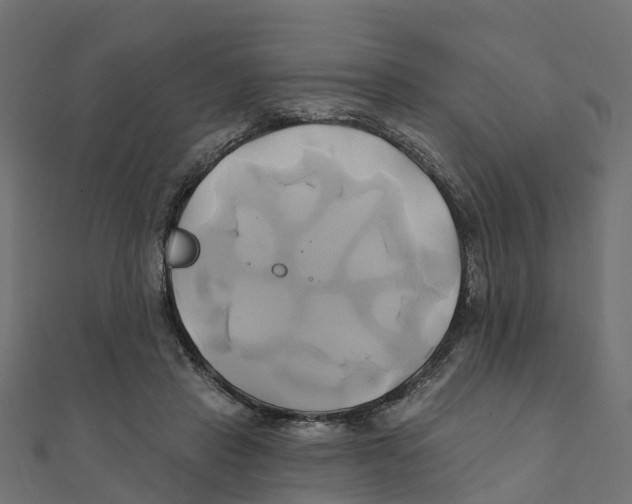 X0000111240453200907301310