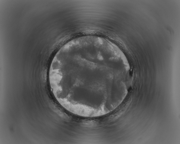 X0000111240454200907301310