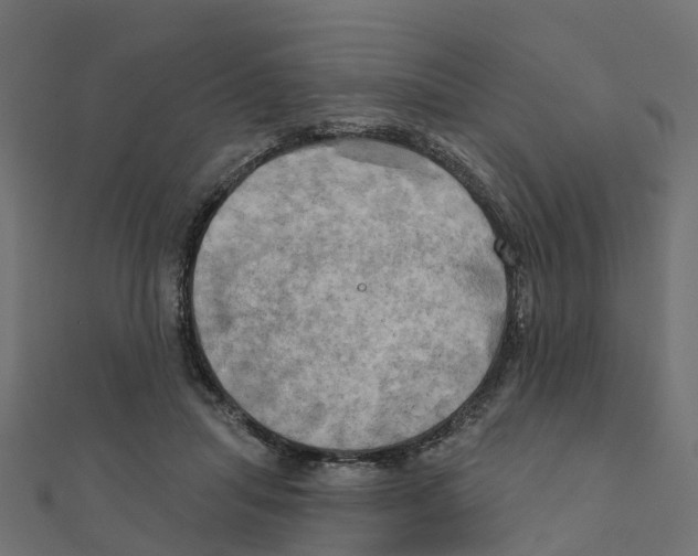 X0000111240455200907301310