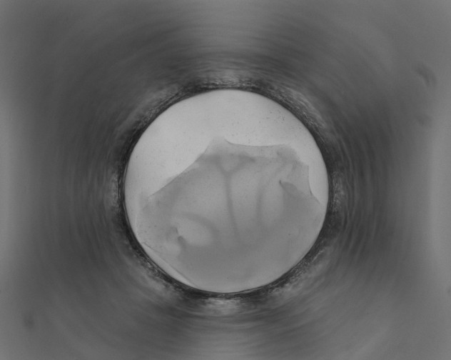 X0000111240457200907301310