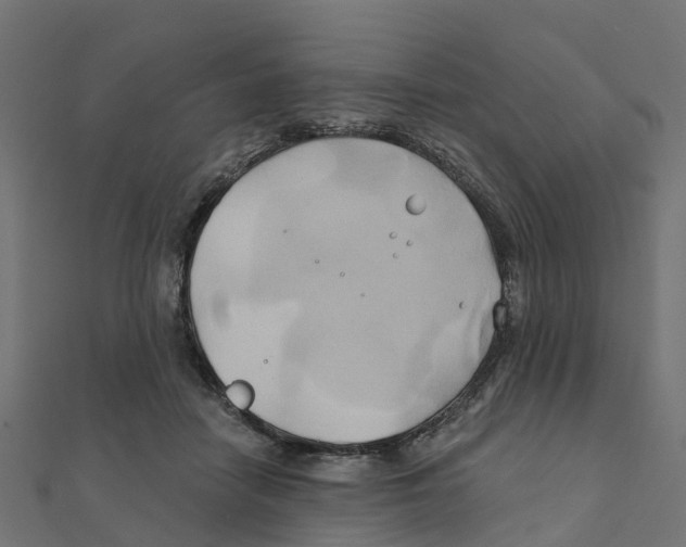 X0000111240458200907301310