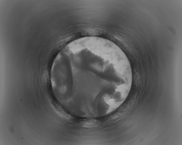 X0000111240459200907301310