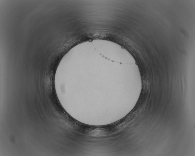 X0000111240460200907301310