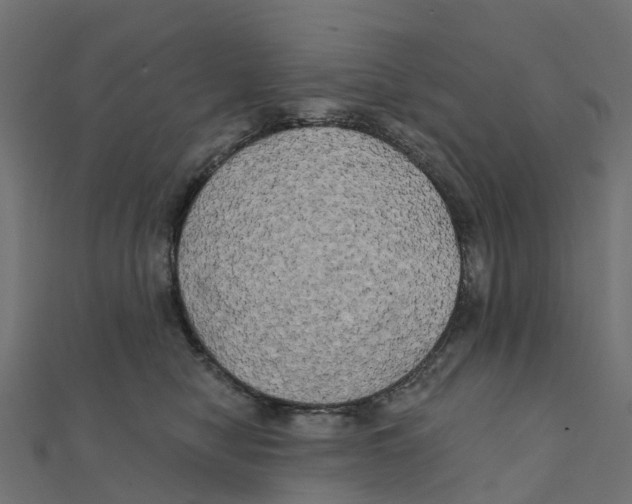 X0000111240470200907301310