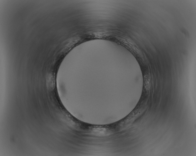 X0000111240471200907301310