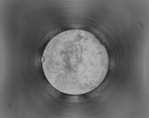 X0000111240473200907301310