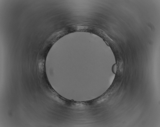 X0000111240475200907301310