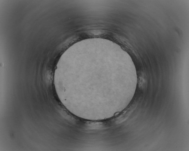 X0000111240476200907301310