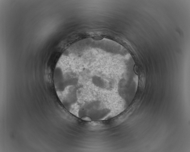 X0000111240477200907301310