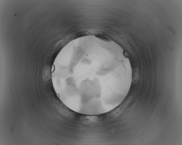 X0000111240478200907301310