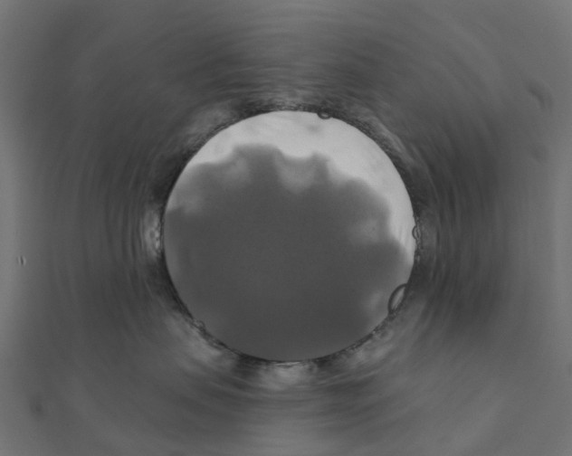X0000111240479200907301310