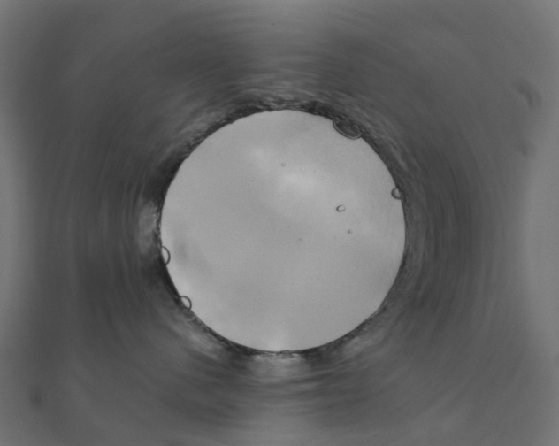 X0000111240480200907301310