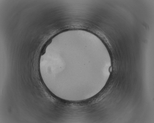 X0000111240481200907301309