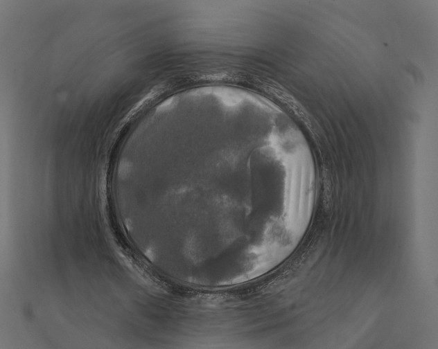 X0000111240482200907301309