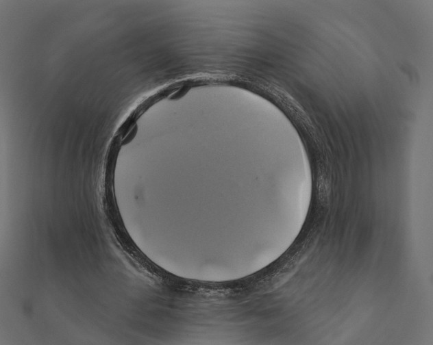 X0000111240484200907301309