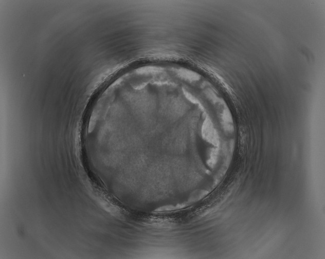X0000111240487200907301309