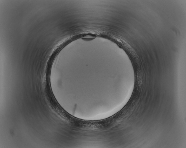 X0000111240488200907301309