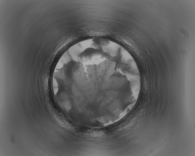X0000111240491200907301309