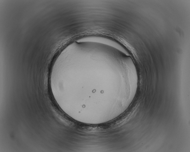 X0000111240493200907301309