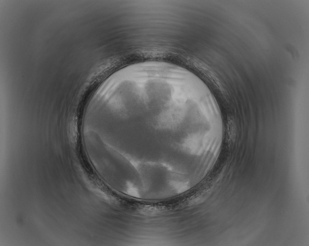 X0000111240494200907301309