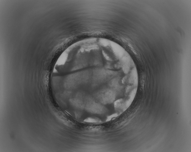 X0000111240495200907301309